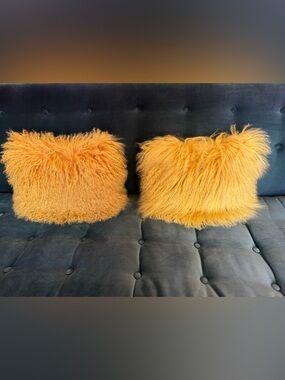 West Elm Mongolian Lamb Pillows (2)